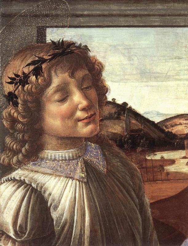 BOTTICELLI, Sandro Madonna and Child with an Angel (detail)  fghfgh oil painting image